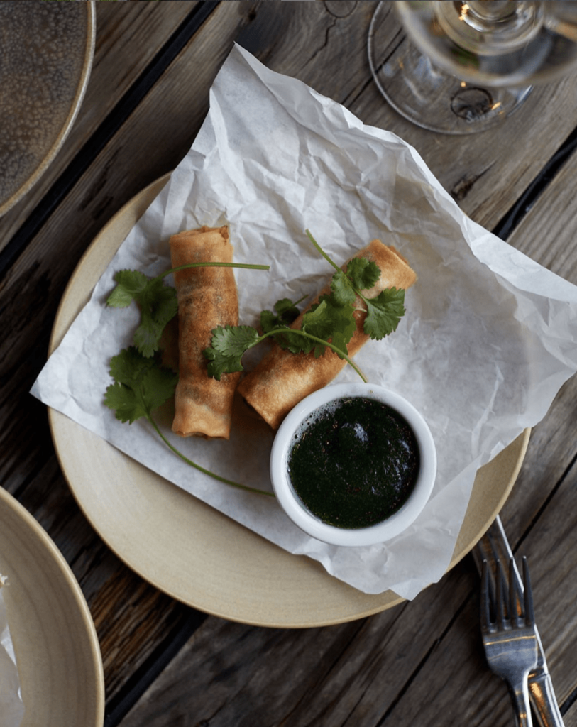 Spring rolls duck and satay 2
