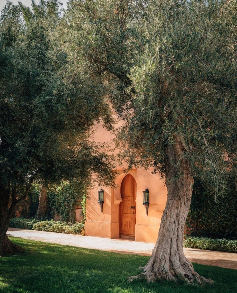 Amanjena Marrakech 40 svg%3E