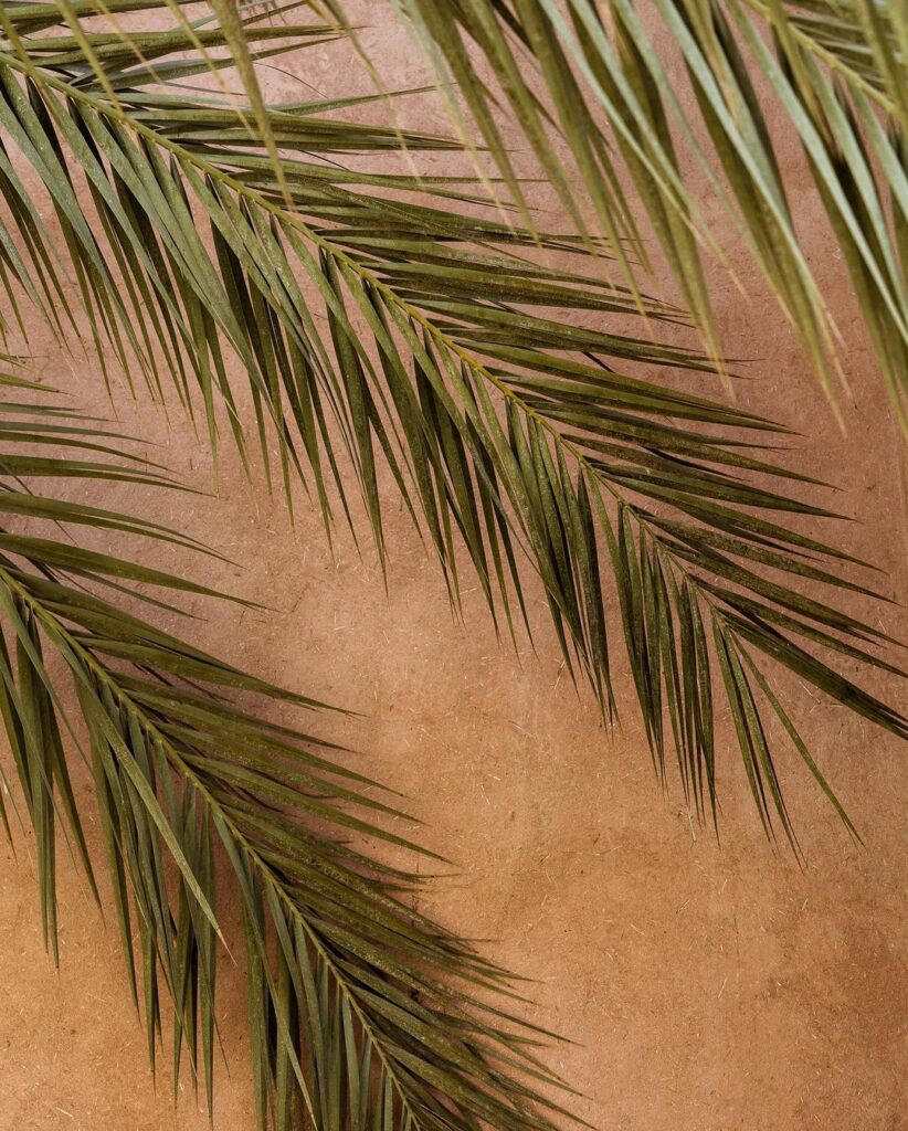 Amanjena Marrakech 8 svg%3E