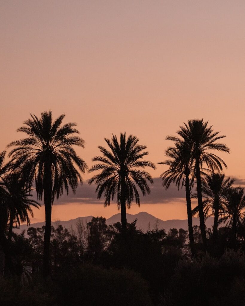 Amanjena Marrakech 42 svg%3E