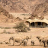 Hoanib Valley Camp 126 svg%3E
