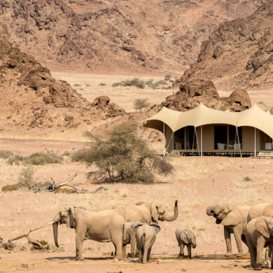 Hoanib Valley Camp 3 svg%3E